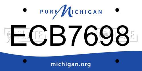 ECB7698 Michigan License Plate