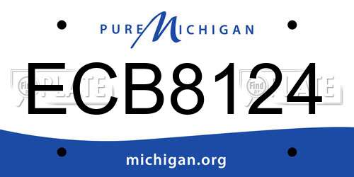 ECB8124 Michigan License Plate