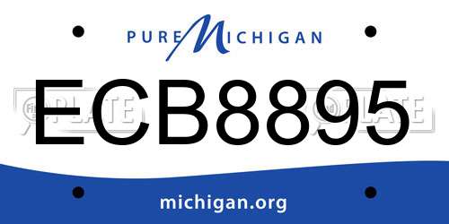 ECB8895 Michigan License Plate