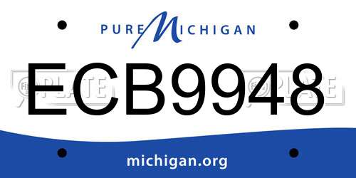 ECB9948 Michigan License Plate