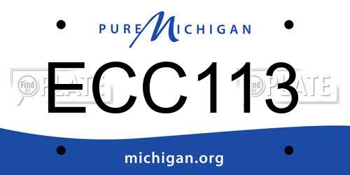 ECC113 Michigan License Plate