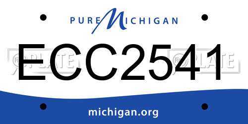 ECC2541 Michigan License Plate