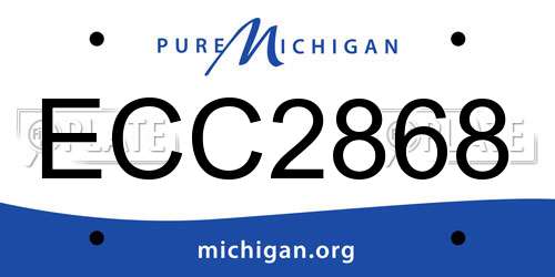 ECC2868 Michigan License Plate