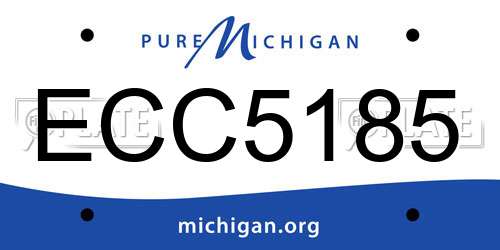 ECC5185 Michigan License Plate