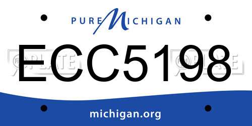 ECC5198 Michigan License Plate
