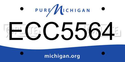 ECC5564 Michigan License Plate