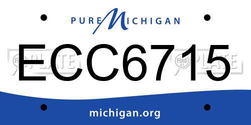 ECC6715 Michigan License Plate