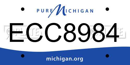 ECC8984 Michigan License Plate