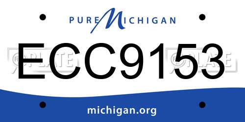 ECC9153 Michigan License Plate