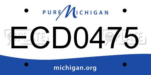 ECD0475 Michigan License Plate