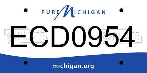 ECD0954 Michigan License Plate