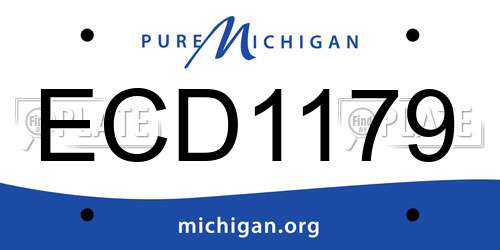 ECD1179 Michigan License Plate