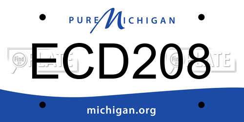 ECD208 Michigan License Plate
