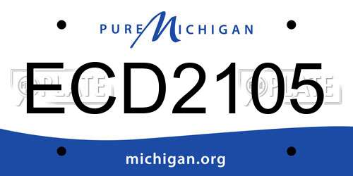 ECD2105 Michigan License Plate