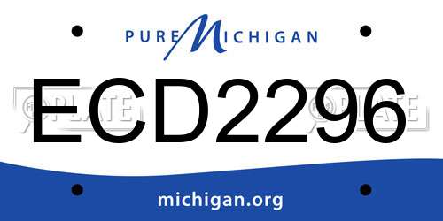 ECD2296 Michigan License Plate