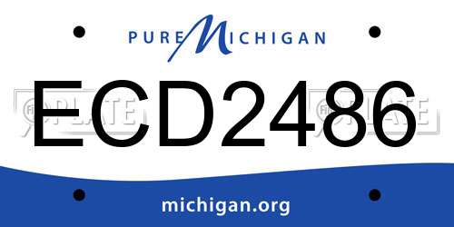 ECD2486 Michigan License Plate
