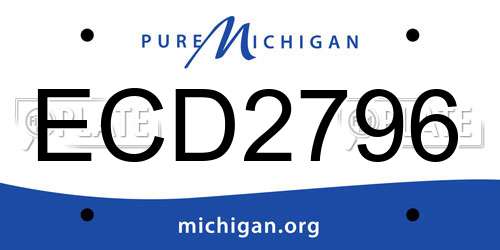 ECD2796 Michigan License Plate