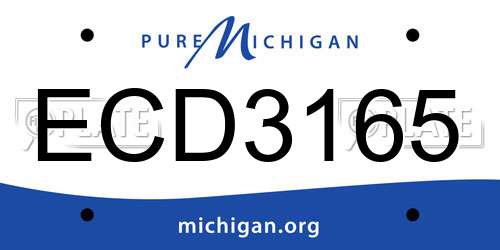 ECD3165 Michigan License Plate