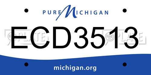 ECD3513 Michigan License Plate