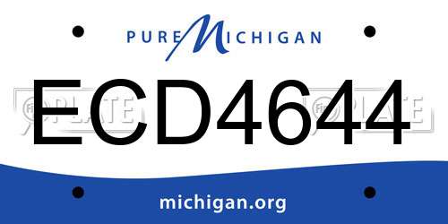 ECD4644 Michigan License Plate