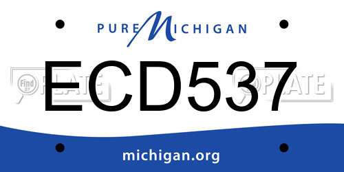 ECD537 Michigan License Plate