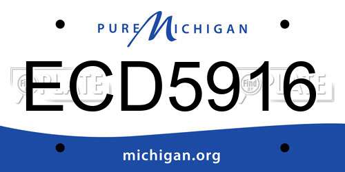 ECD5916 Michigan License Plate