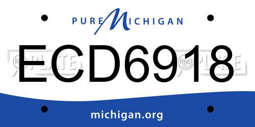 ECD6918 Michigan License Plate