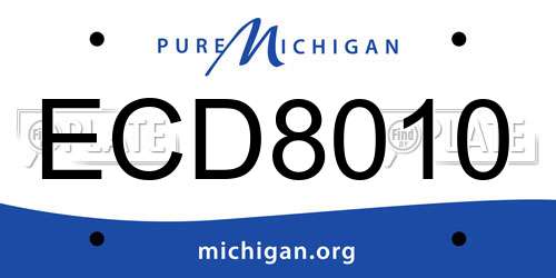 ECD8010 Michigan License Plate