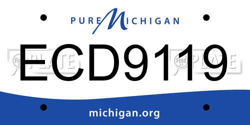 ECD9119 Michigan License Plate