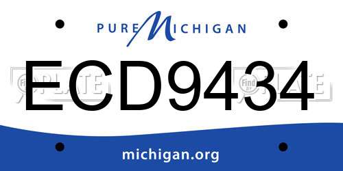 ECD9434 Michigan License Plate