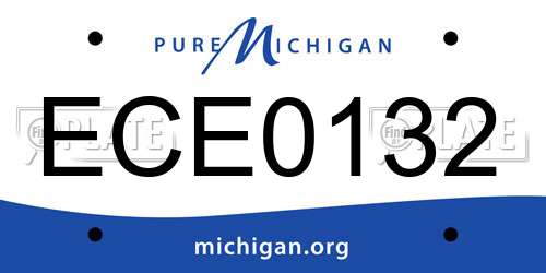 ECE0132 Michigan License Plate