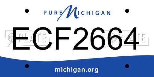 ECF2664 Michigan License Plate