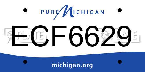 ECF6629 Michigan License Plate