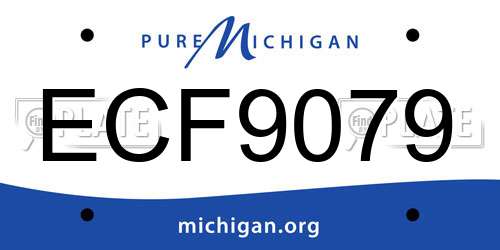 ECF9079 Michigan License Plate