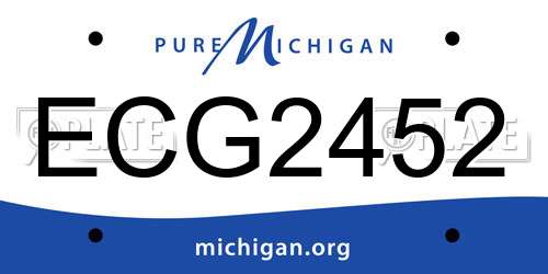 ECG2452 Michigan License Plate