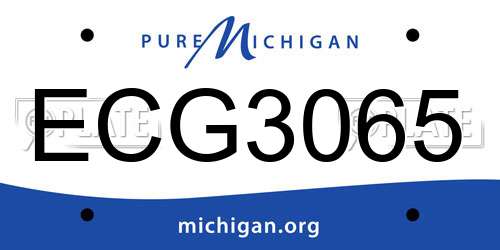 ECG3065 Michigan License Plate