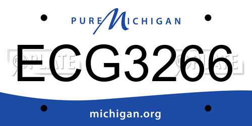 ECG3266 Michigan License Plate