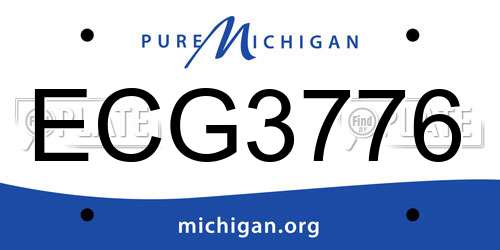 ECG3776 Michigan License Plate