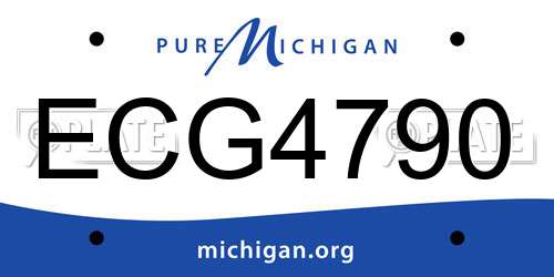 ECG4790 Michigan License Plate