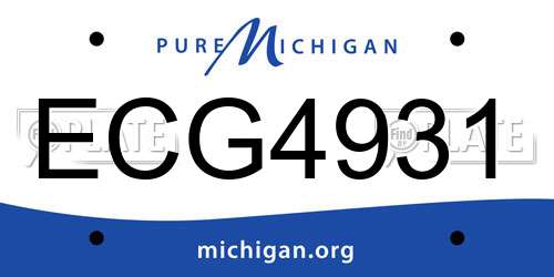 ECG4931 Michigan License Plate