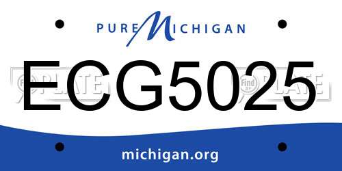 ECG5025 Michigan License Plate