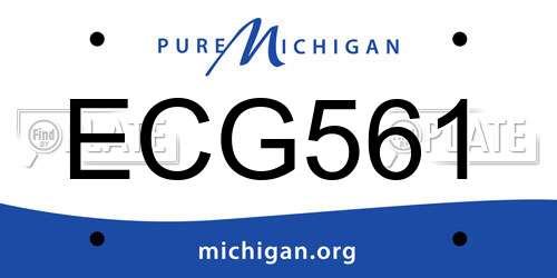 ECG561 Michigan License Plate