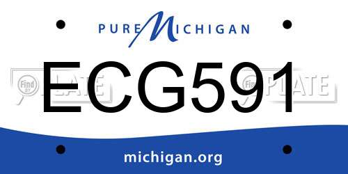 ECG591 Michigan License Plate