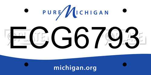 ECG6793 Michigan License Plate