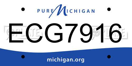 ECG7916 Michigan License Plate