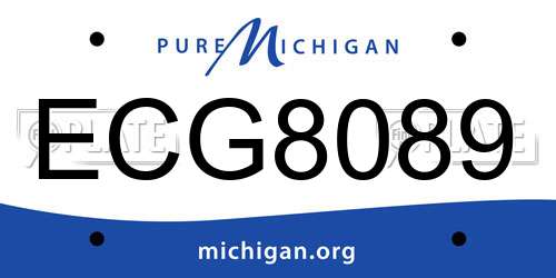 ECG8089 Michigan License Plate