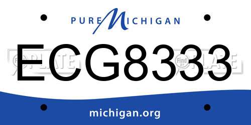 ECG8333 Michigan License Plate