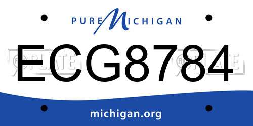 ECG8784 Michigan License Plate