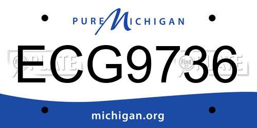ECG9736 Michigan License Plate