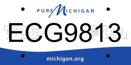 ECG9813 Michigan License Plate